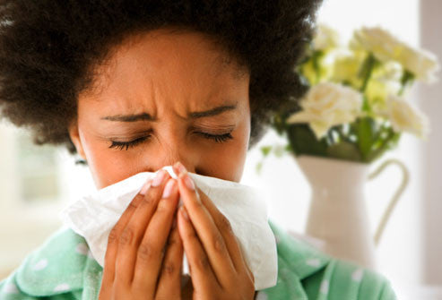 Hay fever/ allergies